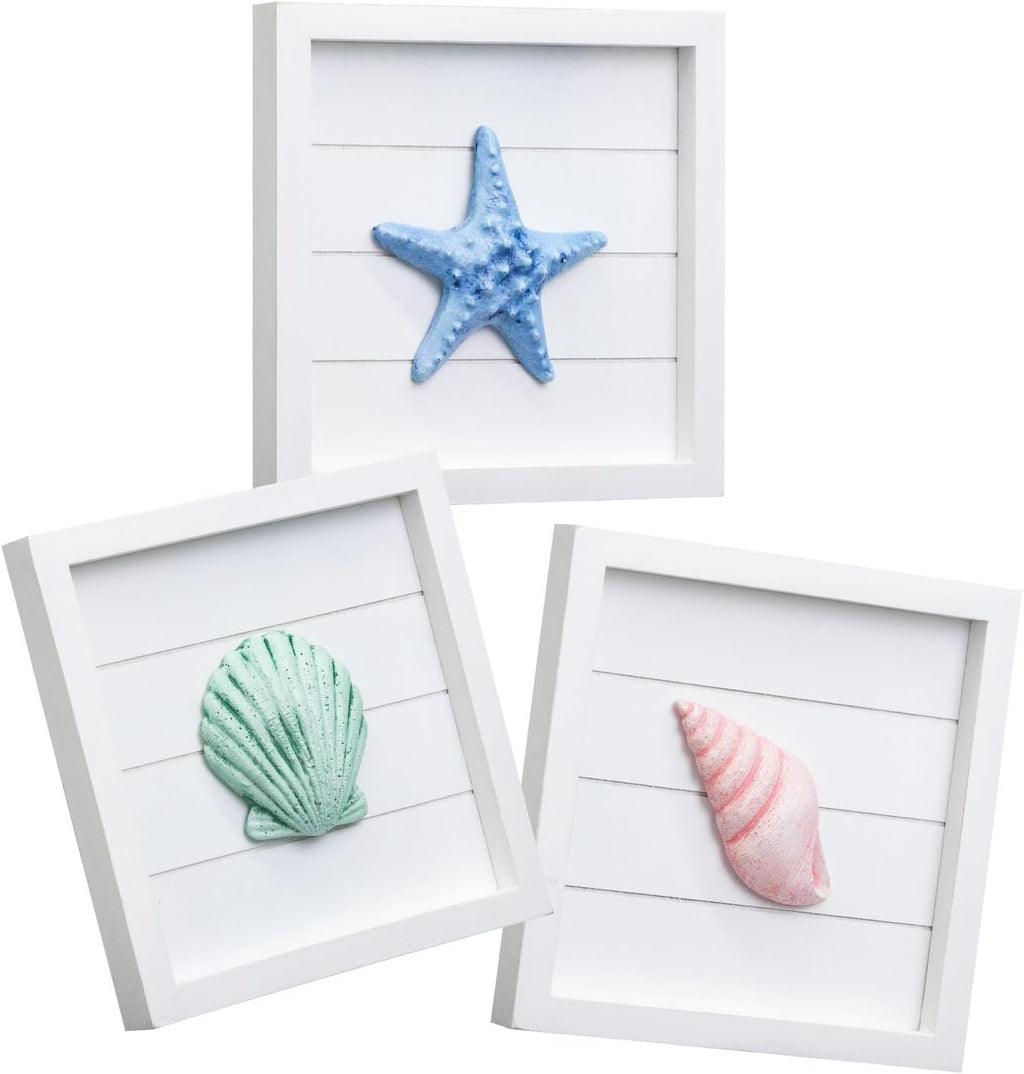 3D Coastal Seashell Wall Decor Set