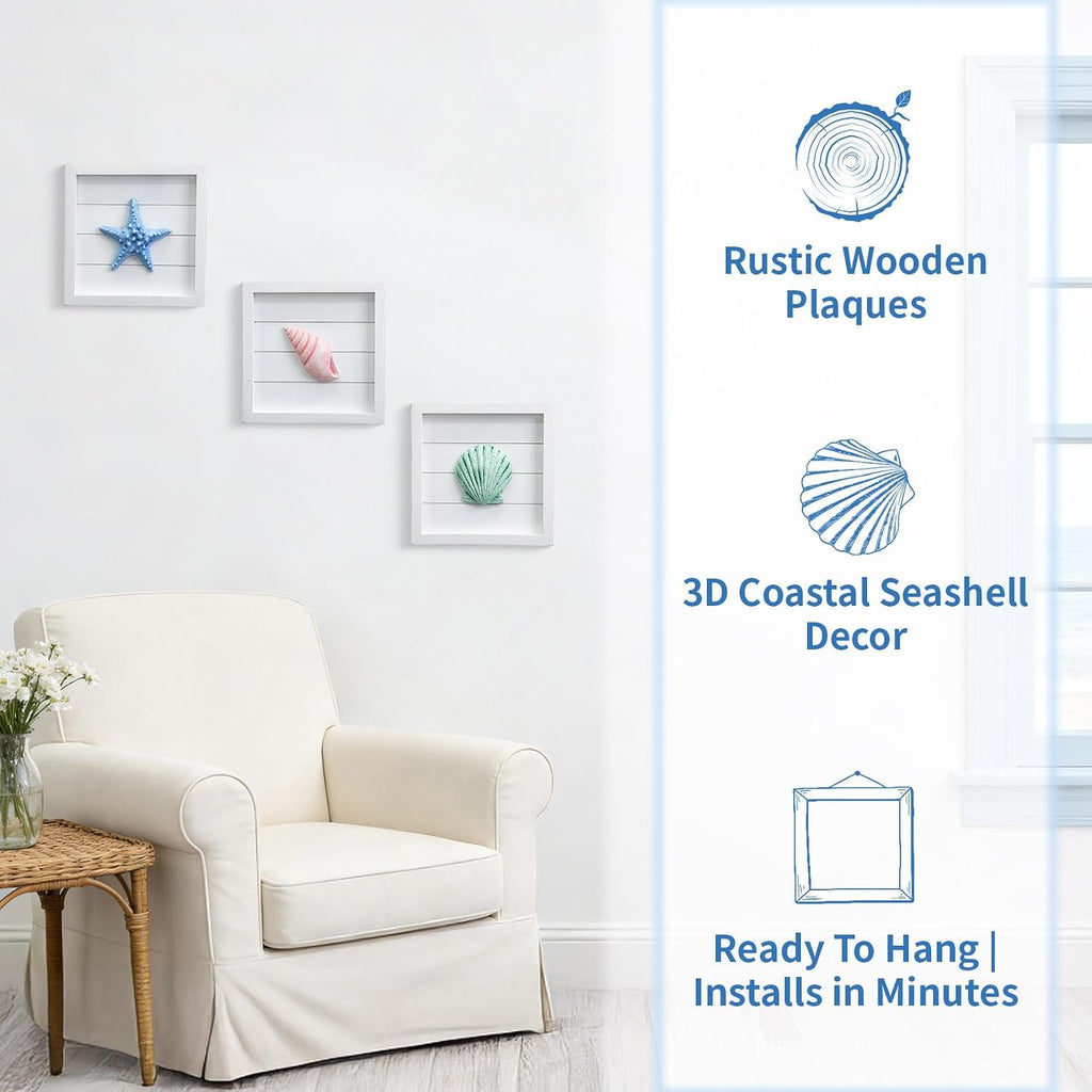 3D Coastal Seashell Wall Decor Set