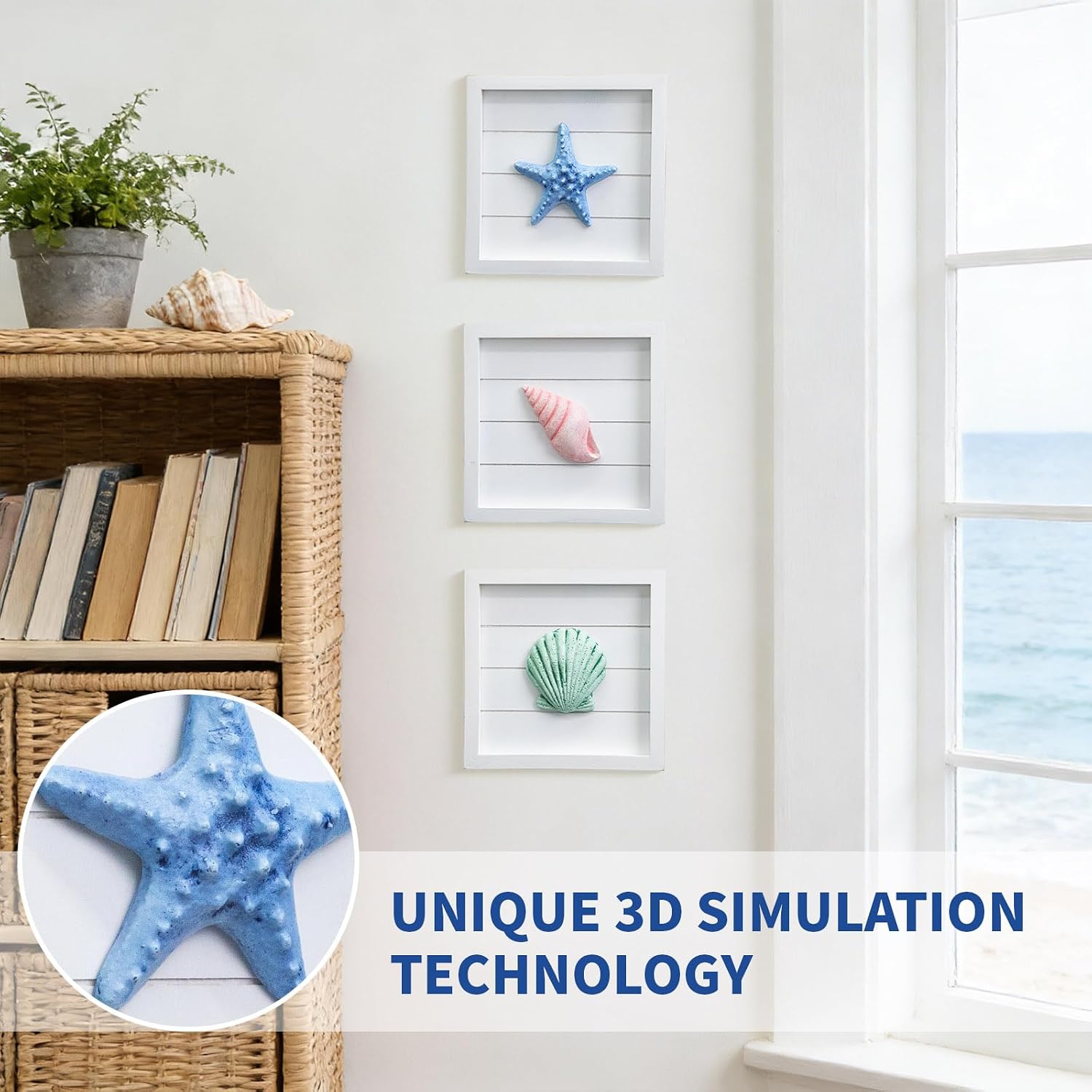 3D Coastal Seashell Wall Decor Set