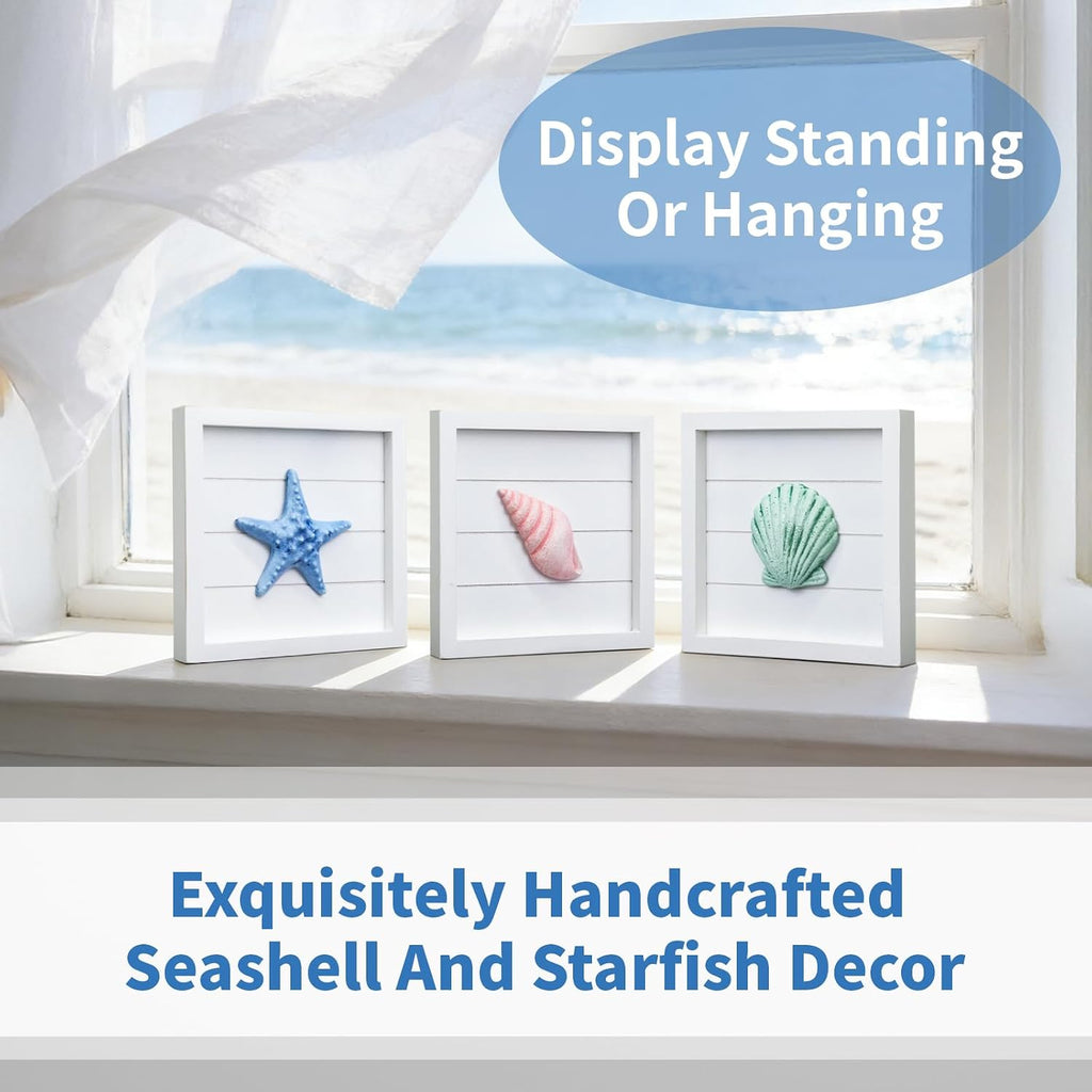 3D Coastal Seashell Wall Decor Set