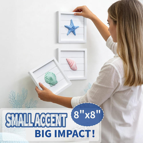 3D Coastal Seashell Wall Decor Set
